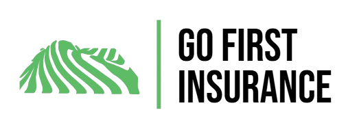 gofirstinsurance logo